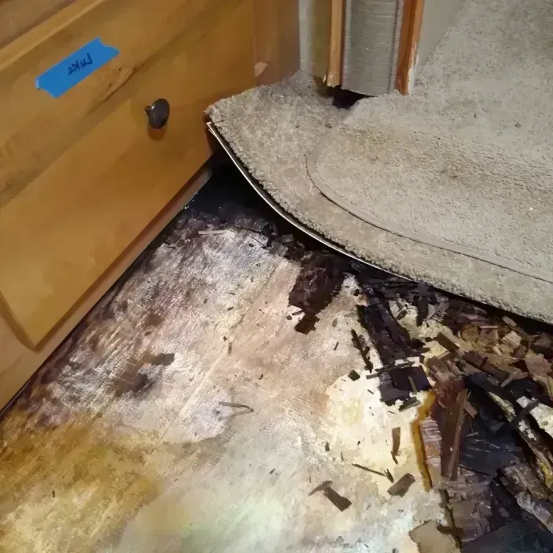 Wood Floor Water Damage in Elmhurst, NY